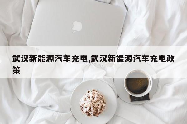 武汉新能源汽车充电,武汉新能源汽车充电政策