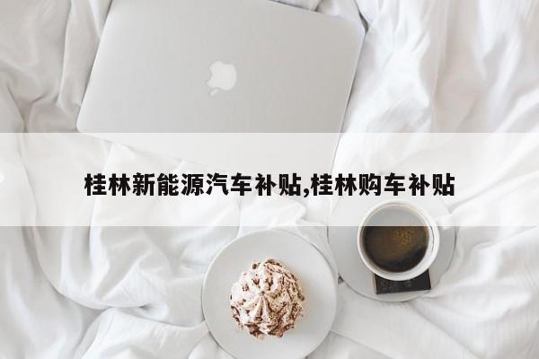 桂林新能源汽车补贴,桂林购车补贴