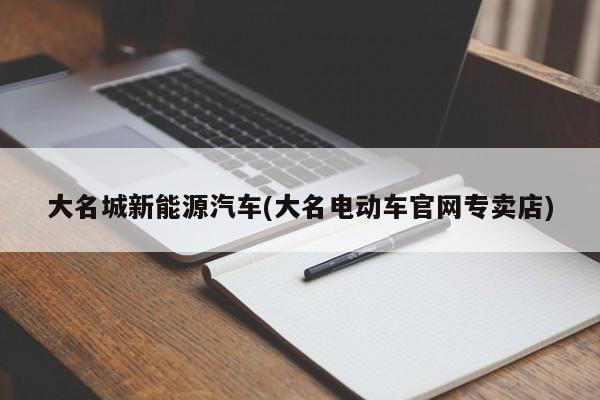 大名城新能源汽车(大名电动车官网专卖店)
