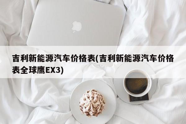 吉利新能源汽车价格表(吉利新能源汽车价格表全球鹰EX3) 第1张