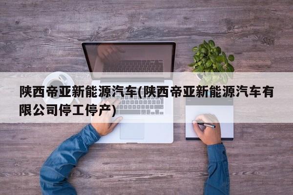 陕西帝亚新能源汽车(陕西帝亚新能源汽车有限公司停工停产)