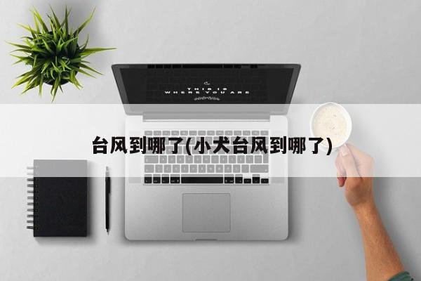 台风到哪了(小犬台风到哪了)