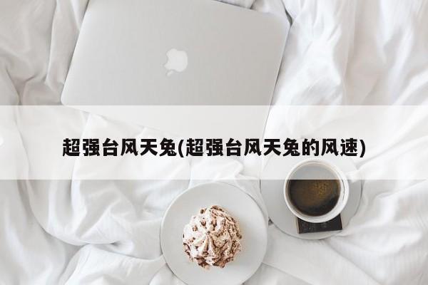 超强台风天兔(超强台风天兔的风速)