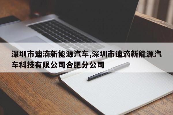 深圳市迪滴新能源汽车,深圳市迪滴新能源汽车科技有限公司合肥分公司