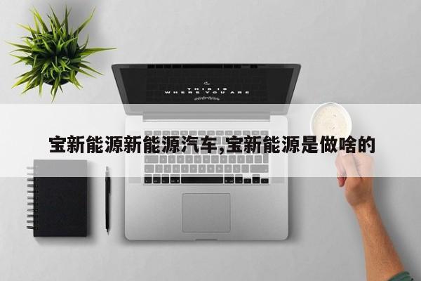 宝新能源新能源汽车,宝新能源是做啥的