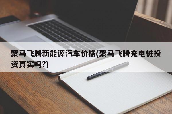聚马飞腾新能源汽车价格(聚马飞腾充电桩投资真实吗?)