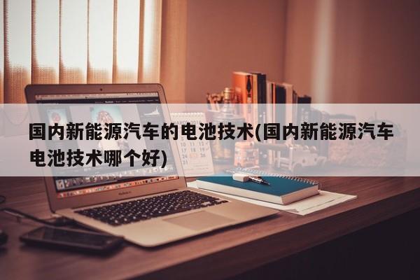 国内新能源汽车的电池技术(国内新能源汽车电池技术哪个好)