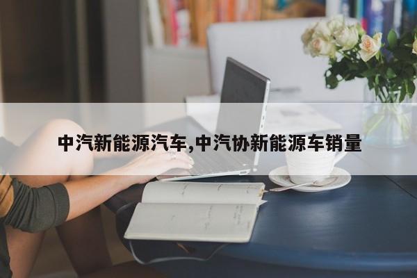 中汽新能源汽车,中汽协新能源车销量