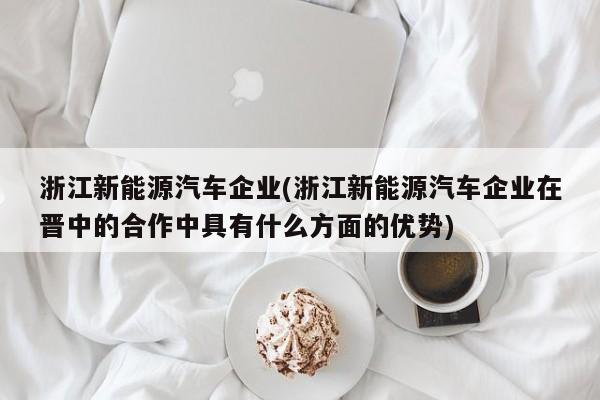 浙江新能源汽车企业(浙江新能源汽车企业在晋中的合作中具有什么方面的优势)