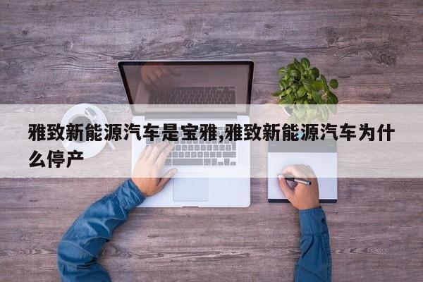 雅致新能源汽车是宝雅,雅致新能源汽车为什么停产