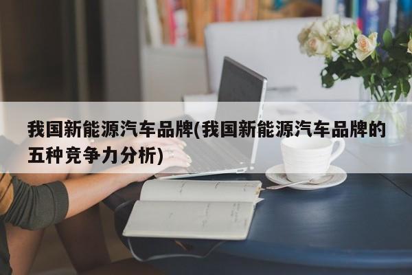 我国新能源汽车品牌(我国新能源汽车品牌的五种竞争力分析)