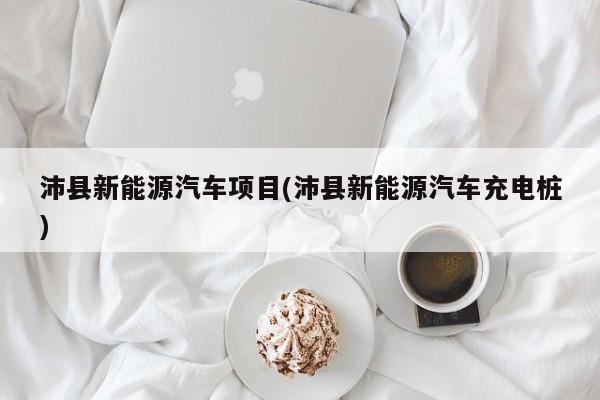 沛县新能源汽车项目(沛县新能源汽车充电桩)