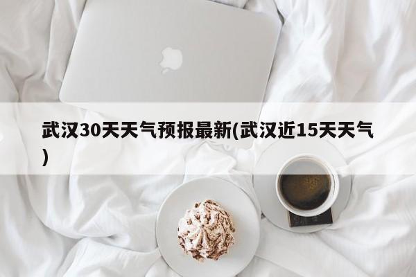 武汉30天天气预报最新(武汉近15天天气) 第1张