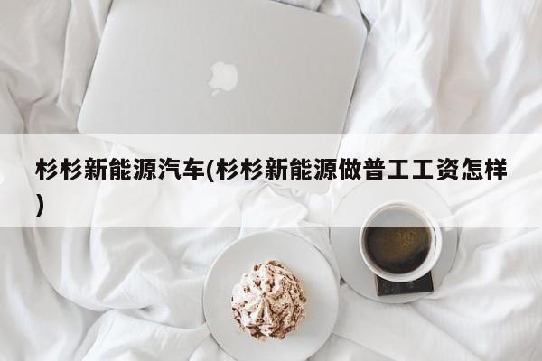 杉杉新能源汽车(杉杉新能源做普工工资怎样)