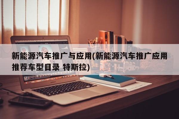 新能源汽车推广与应用(新能源汽车推广应用推荐车型目录 特斯拉)