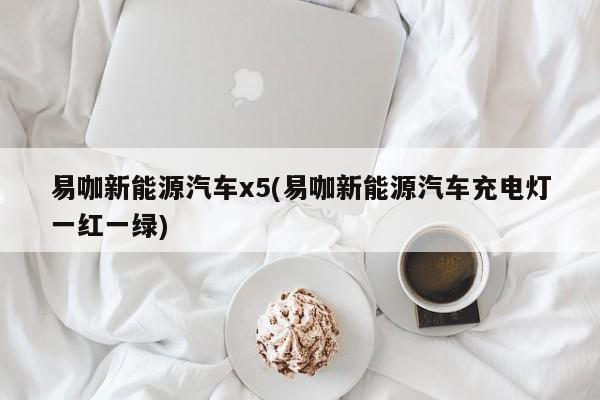 易咖新能源汽车x5(易咖新能源汽车充电灯一红一绿) 第1张