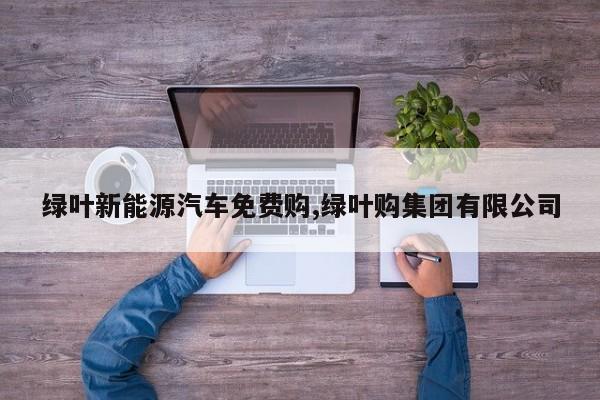 绿叶新能源汽车免费购,绿叶购集团有限公司