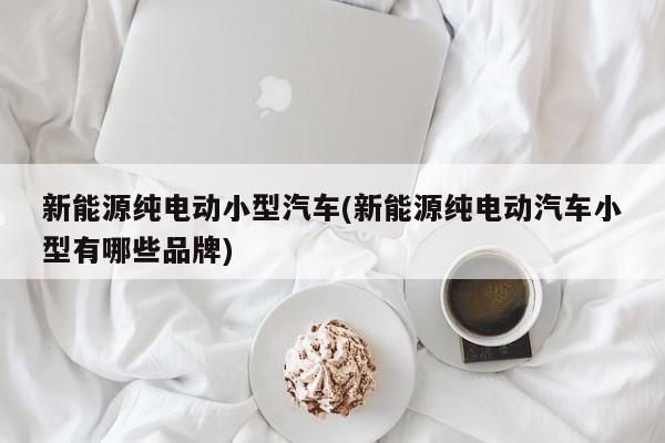 新能源纯电动小型汽车(新能源纯电动汽车小型有哪些品牌)