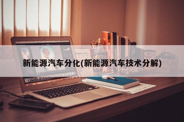 新能源汽车分化(新能源汽车技术分解)