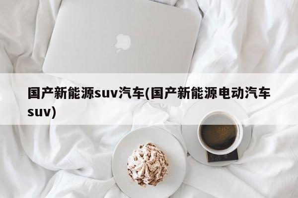 国产新能源suv汽车(国产新能源电动汽车suv)