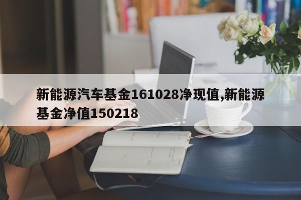 新能源汽车基金161028净现值,新能源基金净值150218