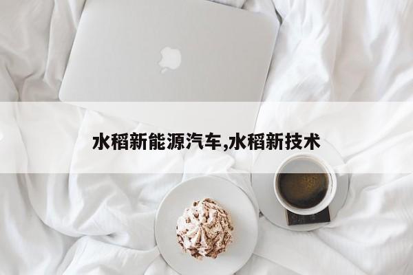 水稻新能源汽车,水稻新技术