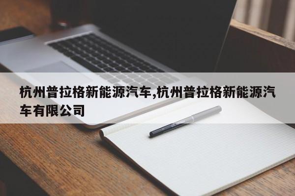 杭州普拉格新能源汽车,杭州普拉格新能源汽车有限公司