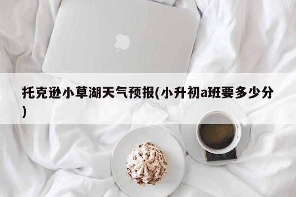 托克逊小草湖天气预报(小升初a班要多少分) 第1张