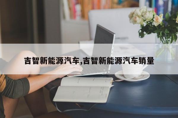 吉智新能源汽车,吉智新能源汽车销量