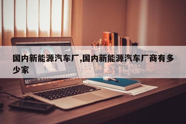 国内新能源汽车厂,国内新能源汽车厂商有多少家 第1张