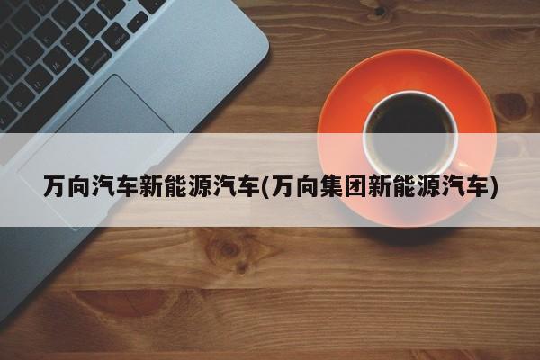 万向汽车新能源汽车(万向集团新能源汽车)
