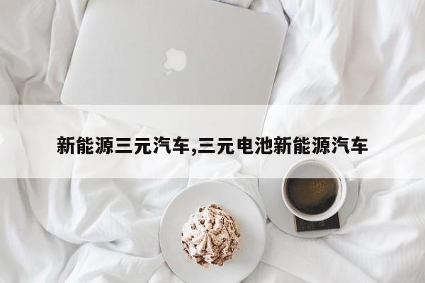 新能源三元汽车,三元电池新能源汽车 第1张