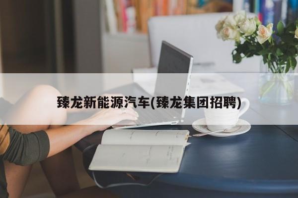臻龙新能源汽车(臻龙集团招聘)