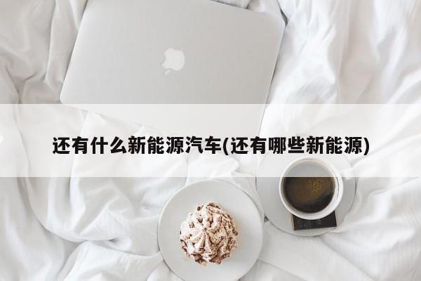 还有什么新能源汽车(还有哪些新能源)