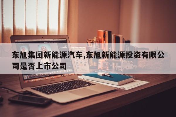 东旭集团新能源汽车,东旭新能源投资有限公司是否上市公司