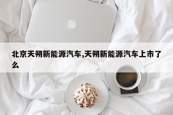 北京天朔新能源汽车,天朔新能源汽车上市了么