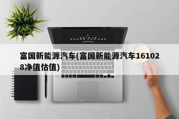 富国新能源汽车(富国新能源汽车161028净值估值)