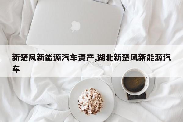 新楚风新能源汽车资产,湖北新楚风新能源汽车