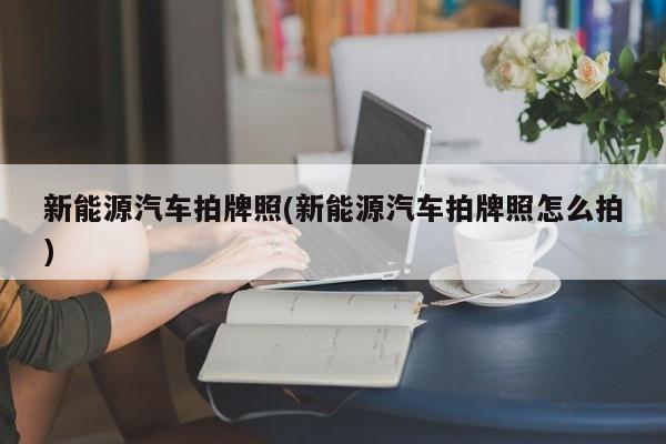 新能源汽车拍牌照(新能源汽车拍牌照怎么拍)