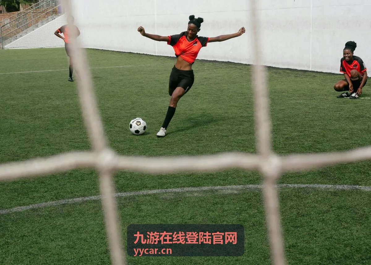 登录服务指南中的入口确认示意图