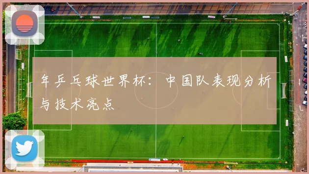 年乒乓球世界杯：中国队表现分析与技术亮点
