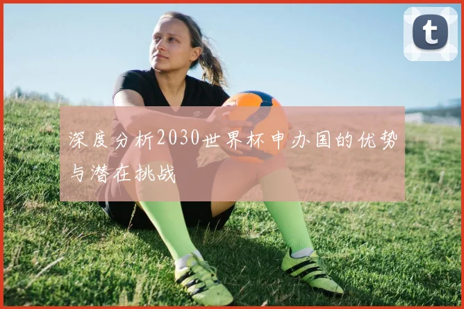 深度分析2030世界杯申办国的优势与潜在挑战