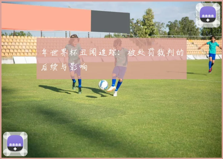 年世界杯丑闻追踪：被处罚裁判的后续与影响