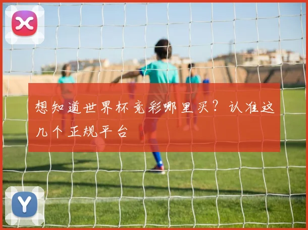 想知道世界杯竞彩哪里买?认准这几个正规平台